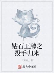 ��ʯ����֮Ͷ�ֹ���