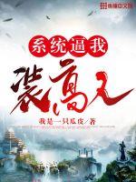 ϵͳ����װ����